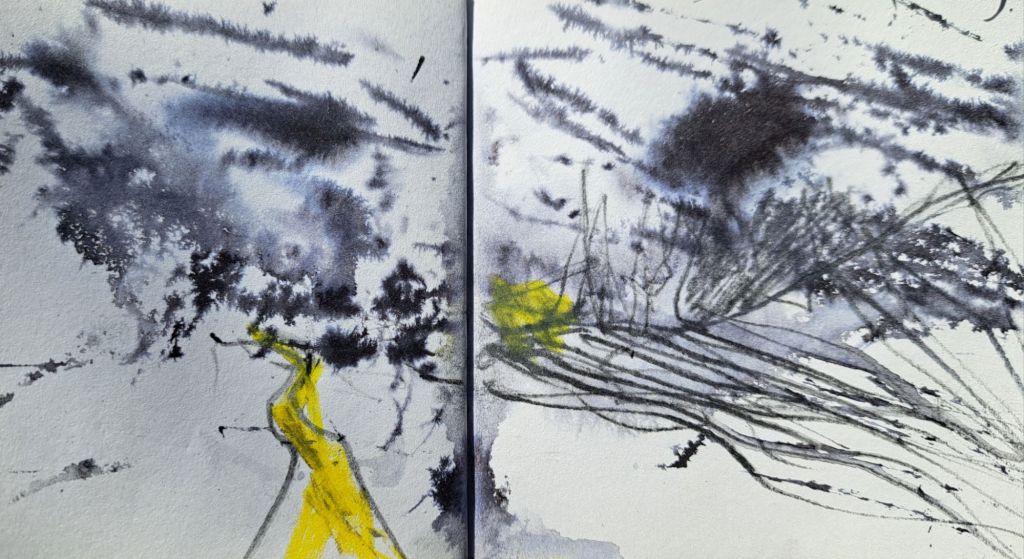 Collecting Sounds &&nbsp;Scapes