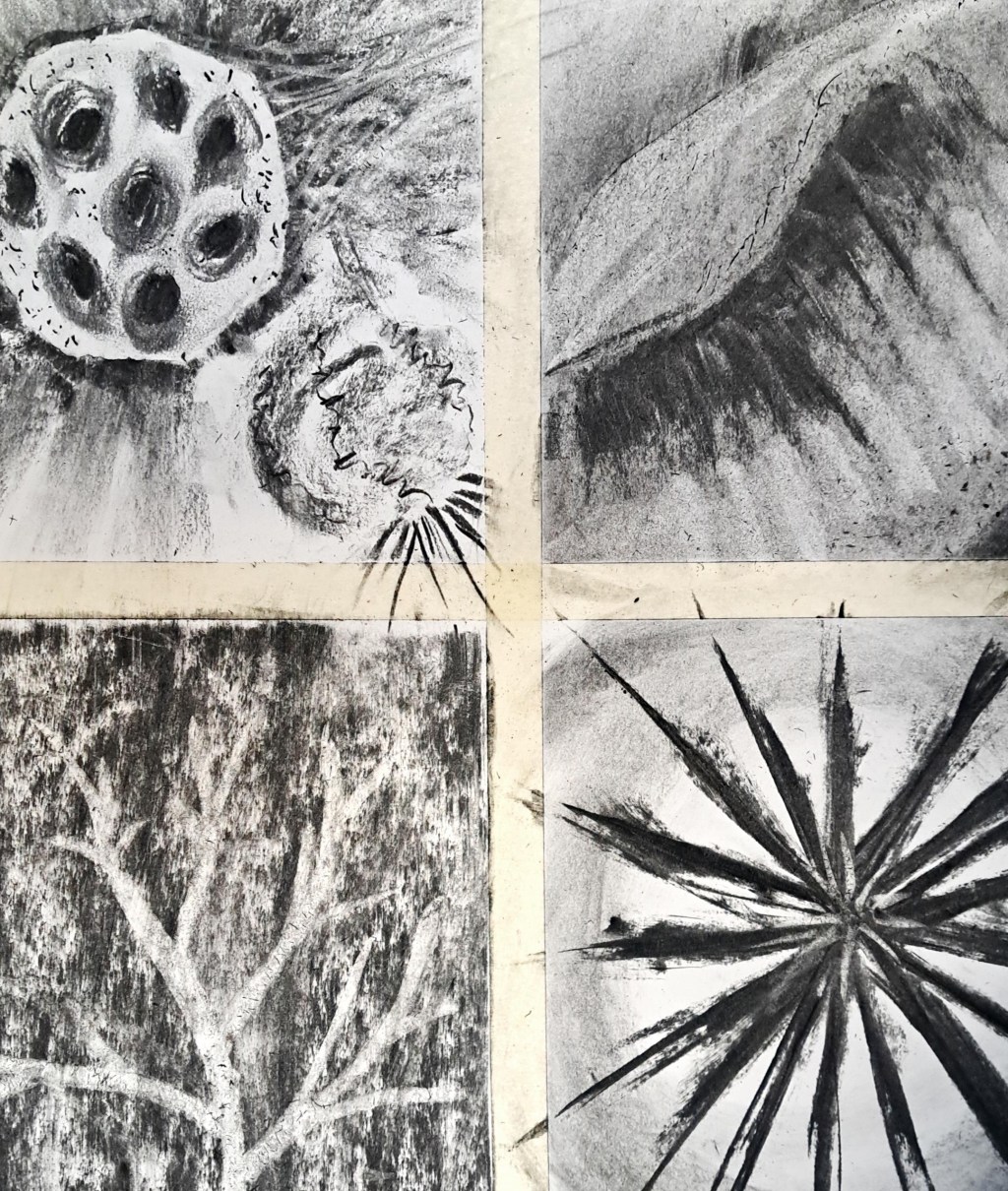 Sketchbook and Draw workshop